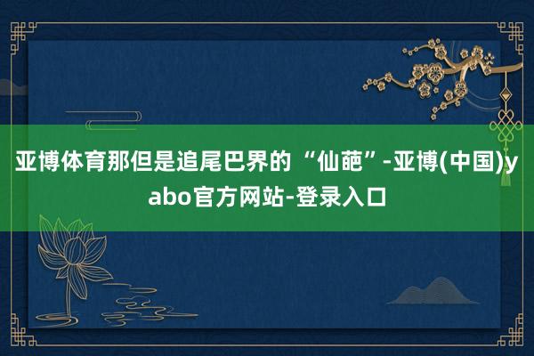 亚博体育那但是追尾巴界的 “仙葩”-亚博(中国)yabo官方网站-登录入口