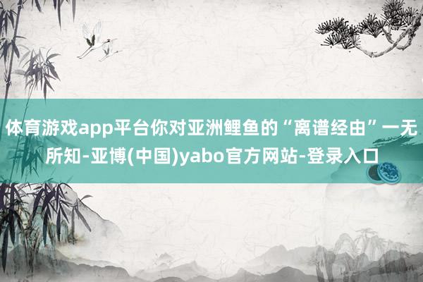 体育游戏app平台你对亚洲鲤鱼的“离谱经由”一无所知-亚博(中国)yabo官方网站-登录入口