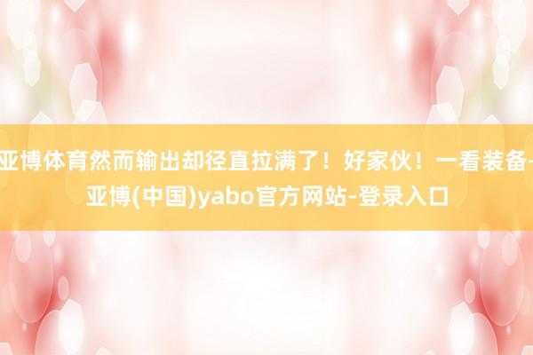 亚博体育然而输出却径直拉满了！好家伙！一看装备-亚博(中国)yabo官方网站-登录入口