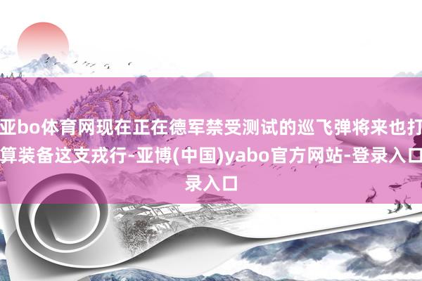 亚bo体育网现在正在德军禁受测试的巡飞弹将来也打算装备这支戎行-亚博(中国)yabo官方网站-登录入口