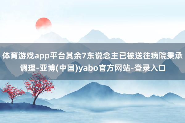 体育游戏app平台其余7东说念主已被送往病院秉承调理-亚博(中国)yabo官方网站-登录入口